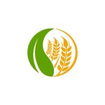 wheat-grain-agriculture-logo-design-template-vector